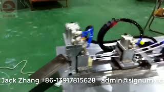 Dual Head Dip Tube Cutting Machine
