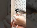 بلبل حرف زدن بلبل خرمام و حرکات جالبش Nightingale Talks And Makes Interesting Movements 