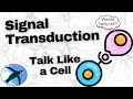 Signal Transduction