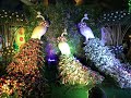 Mysore Dasara Flower Show  2023  - Highlights (HD)