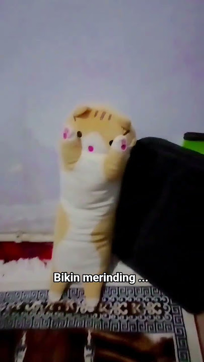 kok bisa ada macan di kolong-kolong#serem #hororkomedi #maçanaliz