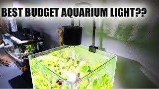 BEST BUDGET AQUARIUM LIGHT?