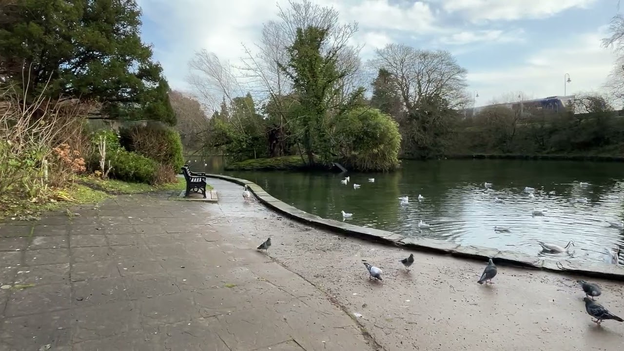 Grange Ornamental Pond - Kents Bank Holiday Cottage