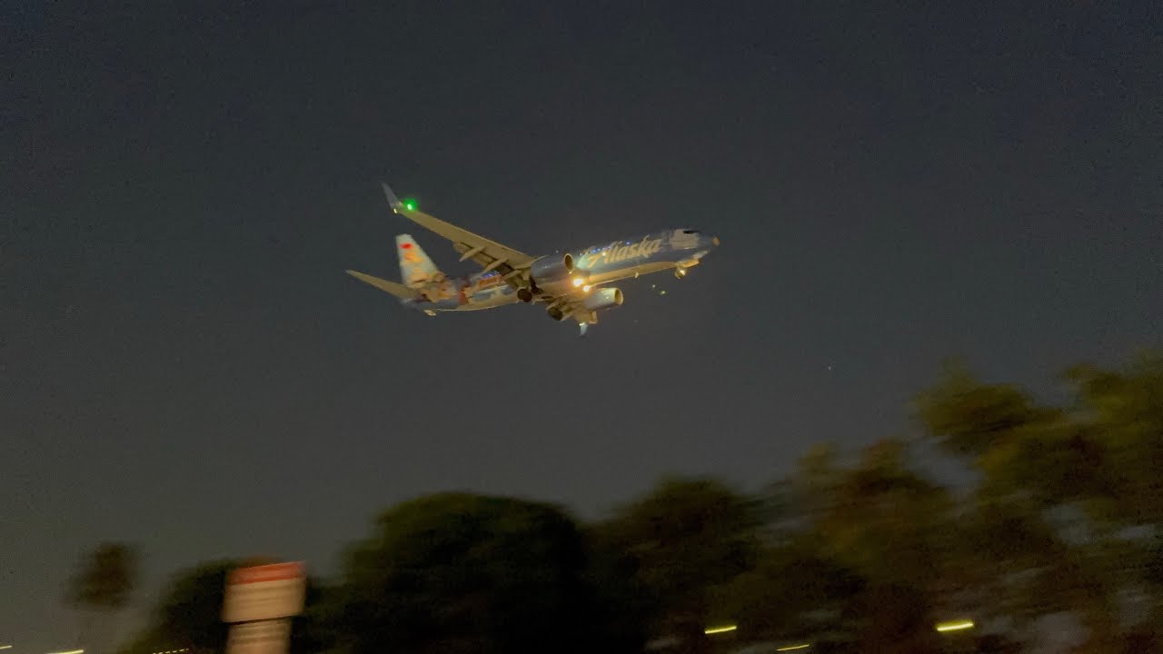 JET NIGHT pt22: french bee A350 F-HREY alaska 737-890 pixar pier turkish bio fuel 77W and level A330