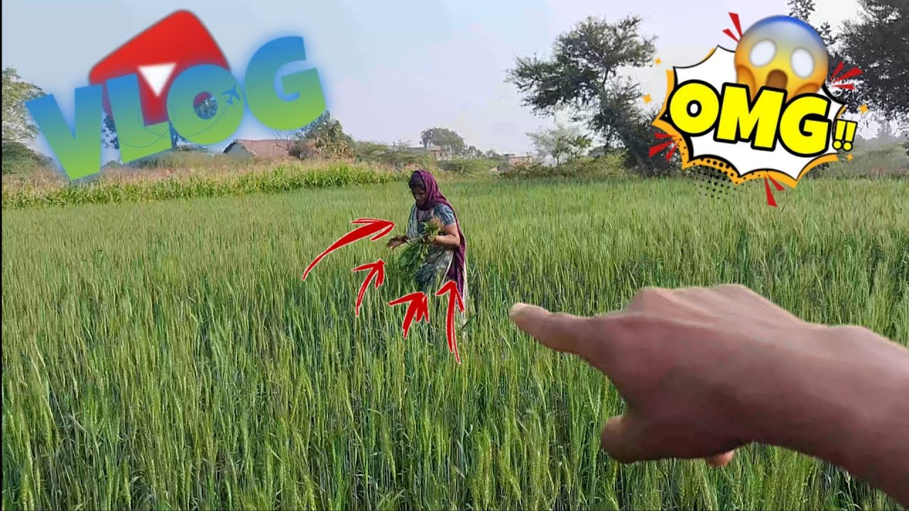  Mamy ne ye kya kar diya🤯 माँ ने ये क्या कर दिया