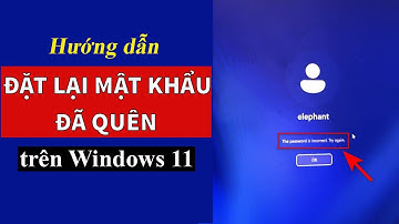 Cách ĐẶT LẠI, LẤY LẠI MẬT KHẨU ĐÃ QUÊN trên Windows 11