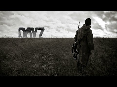 Видео: Раз в полгода... (DayZ Standalone)