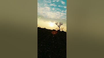 jat song // desi jaat video // किसान पुत्र जाट 😍 #short #jaat