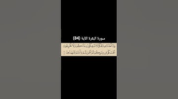 سورة البقرة الآية (84) | القارئ الشيخ: سعد الغامدي