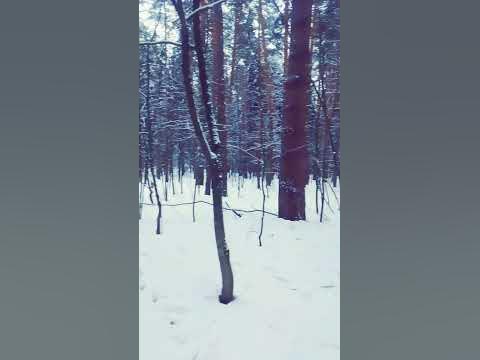 СЛАВА АЛЛАХУ ☝️ - YouTube