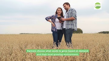 GMOs and Farmers | GMO Answers