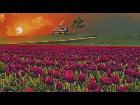 Abdul Rahman Mossad Beautiful Quran Recitation Heart Soothing Voice