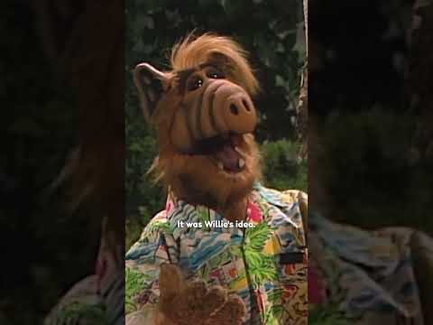 ALF makes a
