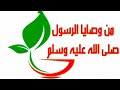 نشيد رسولنا وصانا     نجومي