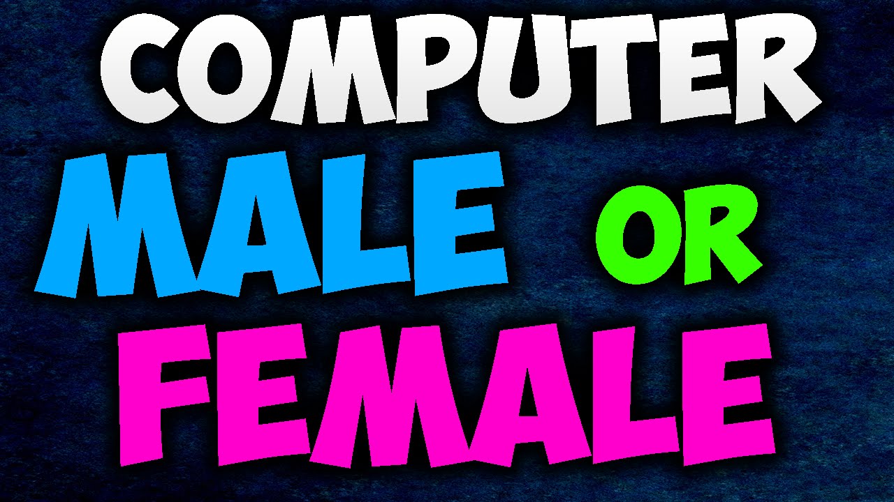 Is your computer MALE or FEMALE?? YouTube
