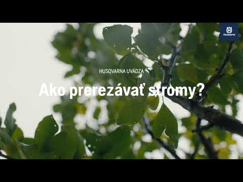 Video: Kedy by ste mali prerezávať Elaeagnus?