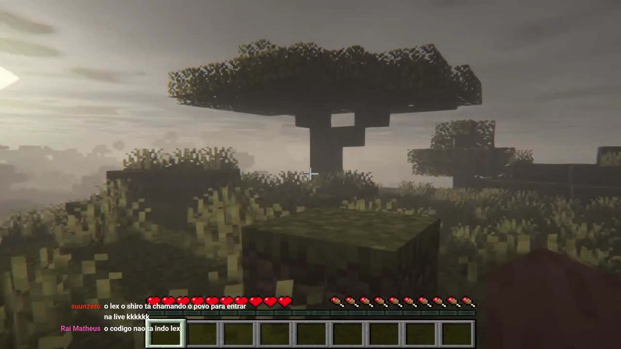 LIVE DE MINECRAFT UM MULA TENTANDO SOBREVIVER AO 