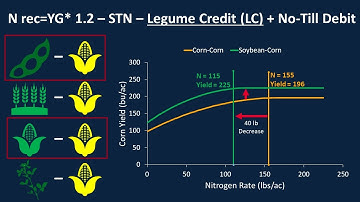 Why Include a Legume Credit in Yield Goal Based Nitrogen Fertilizer Calculations