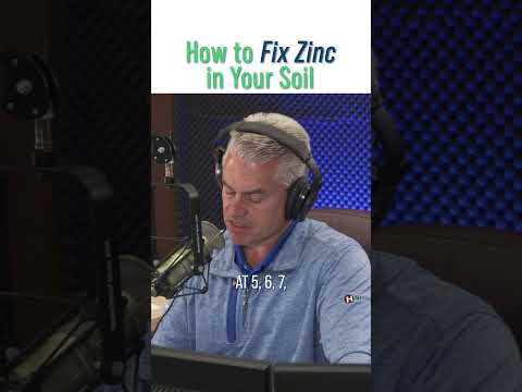 Zinc In Corn Production