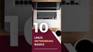10 Linux Networking Basics | Linuxsimply #Shorts #Short #Video