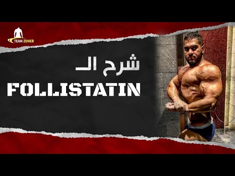 ماهو ببتيد الفولستاتين هل فعلا ممكن اكتسب كيلو عضل يوميا