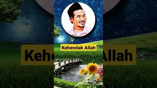 GUS BAHA 🌿 Kehendak Allah  #gusbaha #gusbahaterbaru #gusbahalucu 🌿