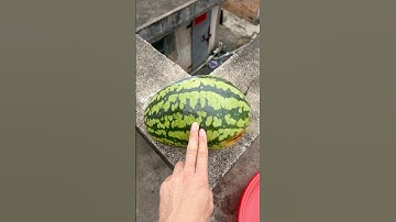 Experiment: Will bananas and watermelons explode when they roll down from a tall building? #bananas