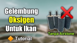 Cara Membuat Gelembung Aquarium Tanpa Batu Aerator