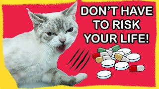 How to Get Cats to Eat Pills (Method 1)