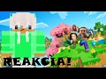 Bol SOM na MINECRAFT MOVIE a Toto je MOJA REAKCIA!
