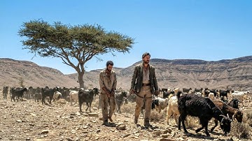 They Walked Into The Algerian Desert | Film/Movie Explained In Hindi/Urdu