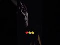 Heart touching song💔🥹 #breakup #song #hearttouching #trending #reels #viralvideo #shorts #manipur