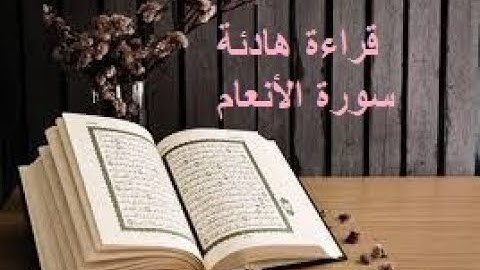 صوت هادئ قراءة حدر قران كريم سورة الأنعام ياسر سلامة