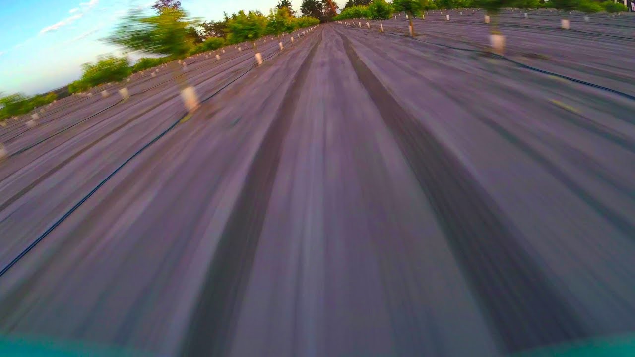 Open Grove and the Desert