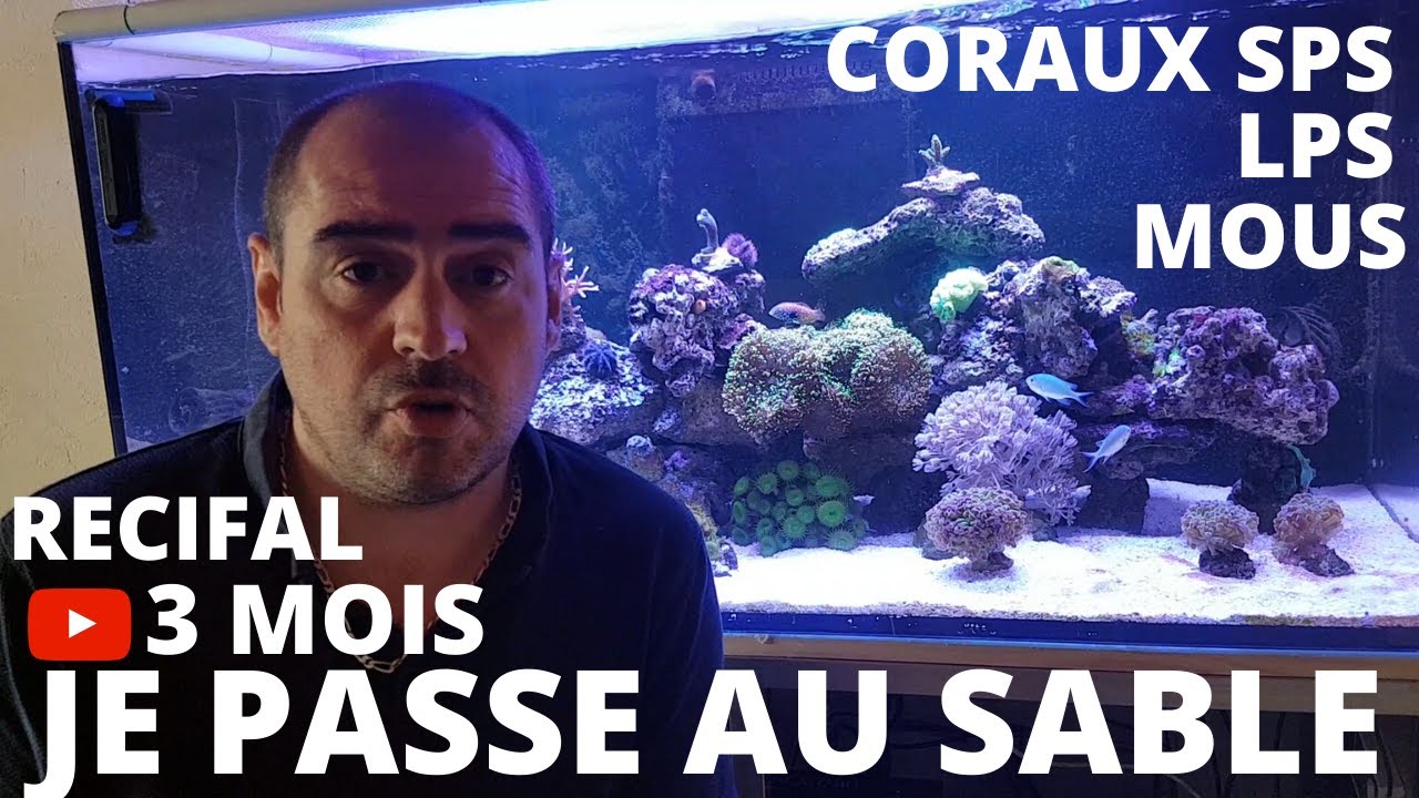 Aquarium Recifal : 3 Mois / Introduction du SABLE 