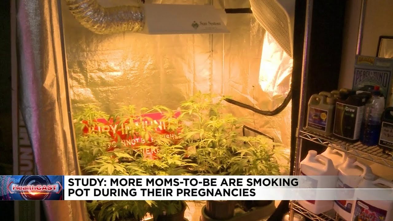 More moms-to-be smoking marijuana than ever before, study finds