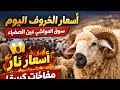 سوق المواشي عين الصفراء اليوم أسعار الخروف نار ولا معقولة
