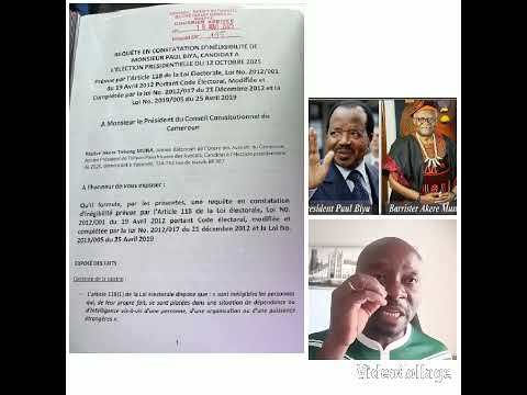 Bat Akere Muna Petitioned The Constitutional Council Seeking To Disqualify Paul Biya S Candidacy