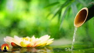 đź”´ Relaxing Music 24/7, Boost Positive Energy 528Hz, Meditation, Healing, Zen, Sleep, Spa, Study