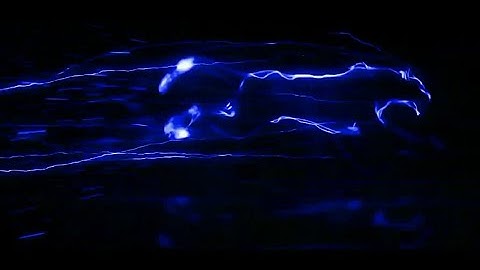run panther intro template blue colour(1080P_HD)