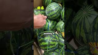 3 Reasons Japan Is The Best Place To Live