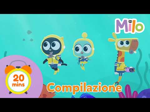 Milo il biologo marino 🔬 | Milo | Compilazione - episodi completi