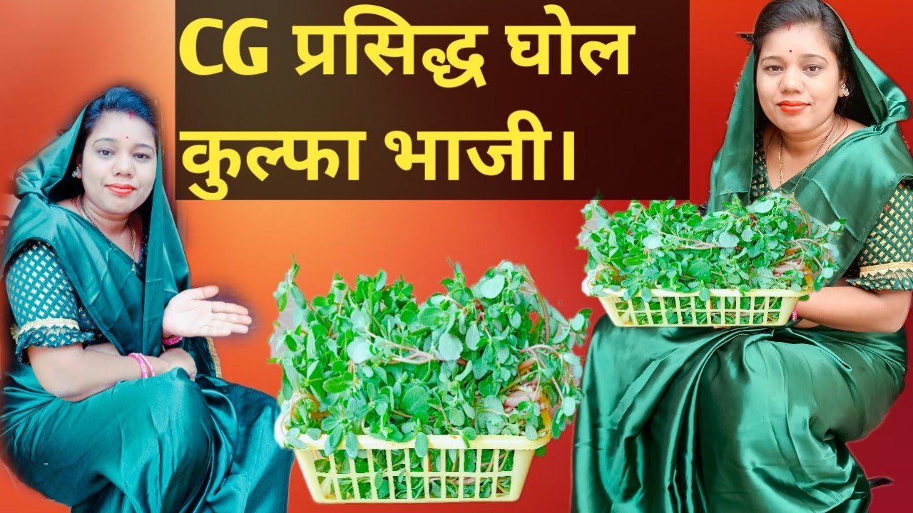 छ. ग. प्रसिद्ध घोल , गोल , कुल्फा भाजी बनाये के 2 जबरदस्त तरीका || kulfa ki subji || cg vloggermamta