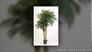 Искусственные растения Искусственные растения