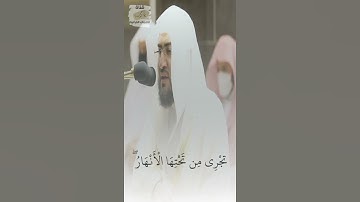 تلاوة خاشعة تسعد القلب والروح للشيخ بندر بليلة