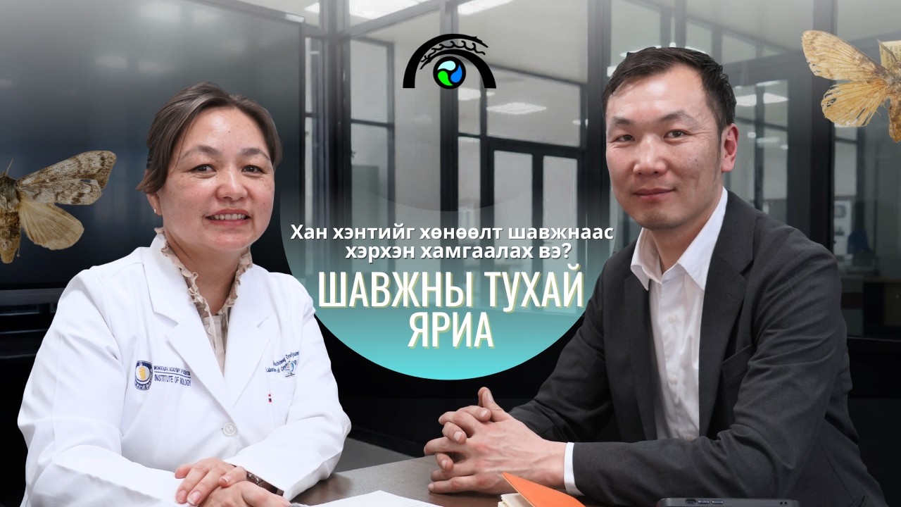 Шавжны тухай яриа | Хан Хэнтий Подкаст (Хураангуй)