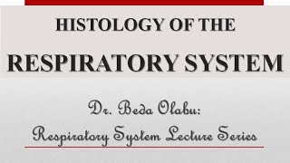 MICROSCOPIC/HISTOLOGICAL ORGANIZATION OF THE RESPIRATORY SYSTEM