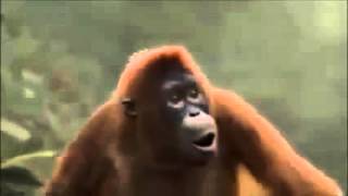 Euch Noch Ein Schönes Wochenende