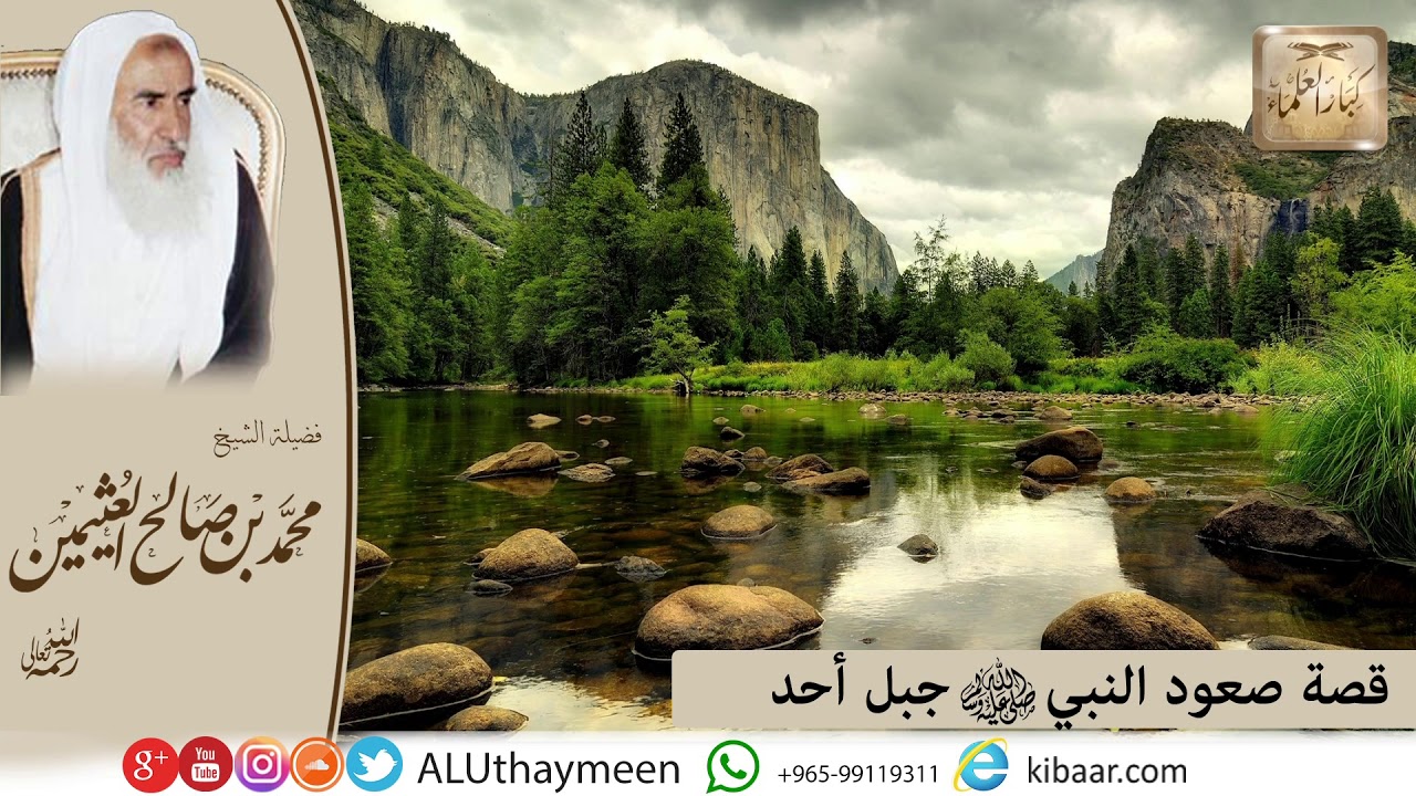 41- كل يوم قصة  