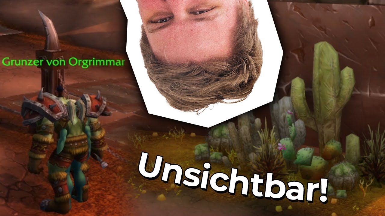EINS mit der UMGEBUNG | Verstecken in WoW